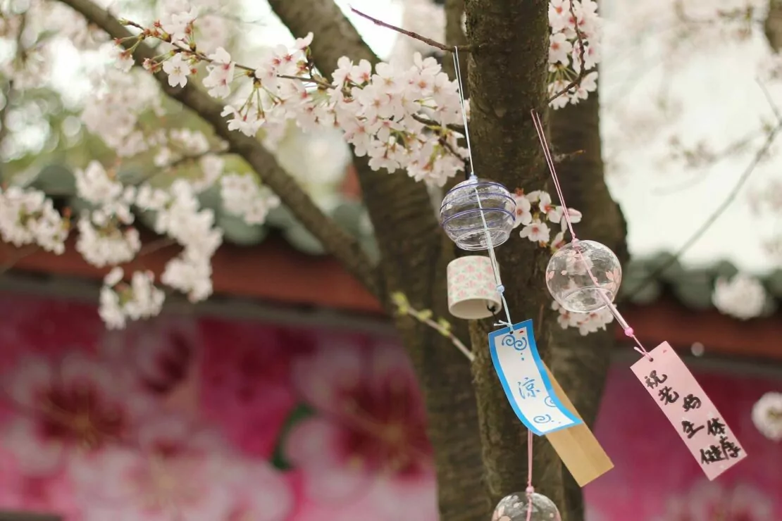 Le Fūrin, petit carillon japonais qui sent bon l’été