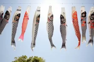 koinobori japonais