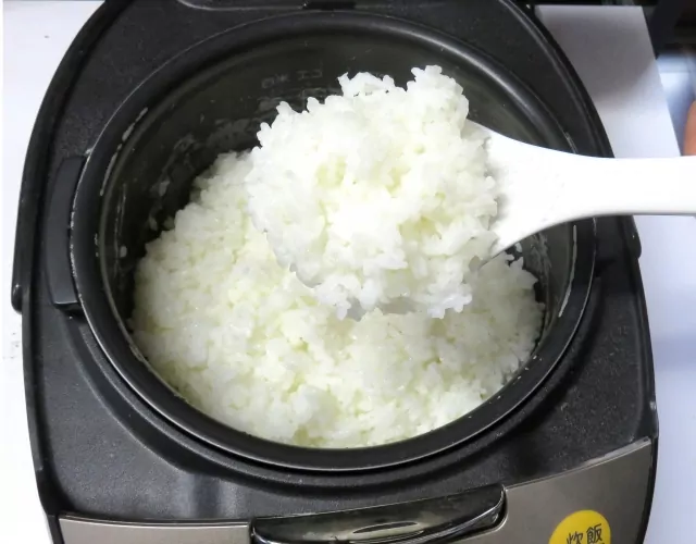 rice cooker, spatule à riz et riz cuit